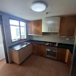 Twin Heights (D12), Apartment #498213941